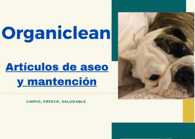 i- Insecticida Spray Killer (Todo insecto) -560 cc